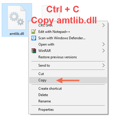 Copy amtlib dll file