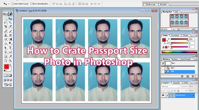 how to make passport size photo in Photoshop