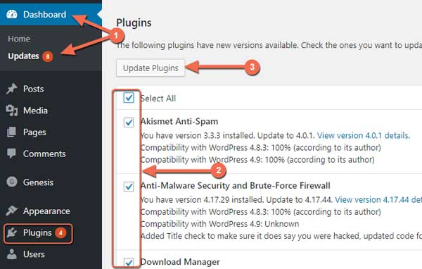 wordpress plugin ko kaise update kare