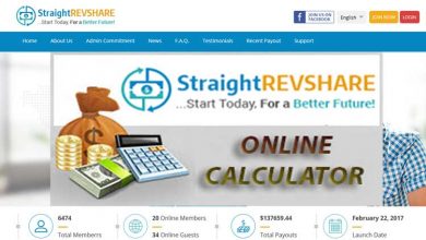 Straight-revshare-income-calculator