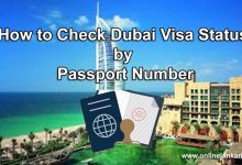 How to check UAE visa status by passport number