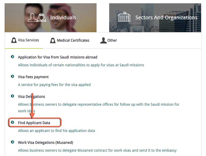 find Saudi Visa application data